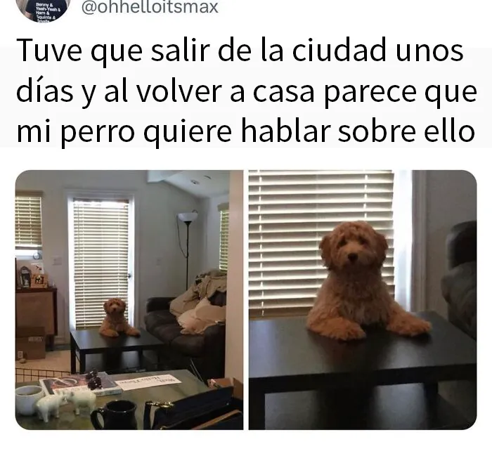 20 Divertidos memes que te resultarán dolorosamente familiares