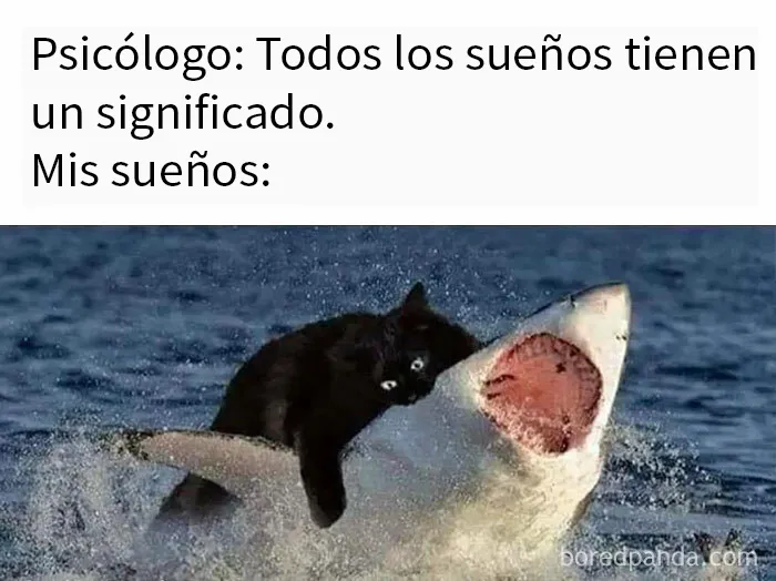 20 Divertidos memes que te resultarán dolorosamente familiares