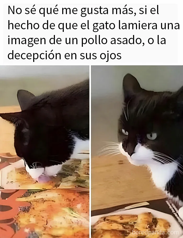 20 Divertidos memes que te resultarán dolorosamente familiares