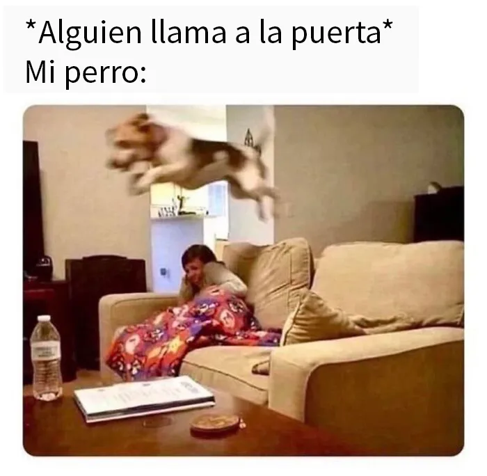 20 Divertidos memes que te resultarán dolorosamente familiares