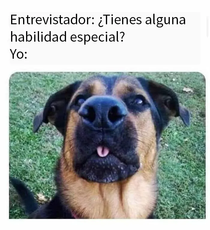 20 Divertidos memes que te resultarán dolorosamente familiares