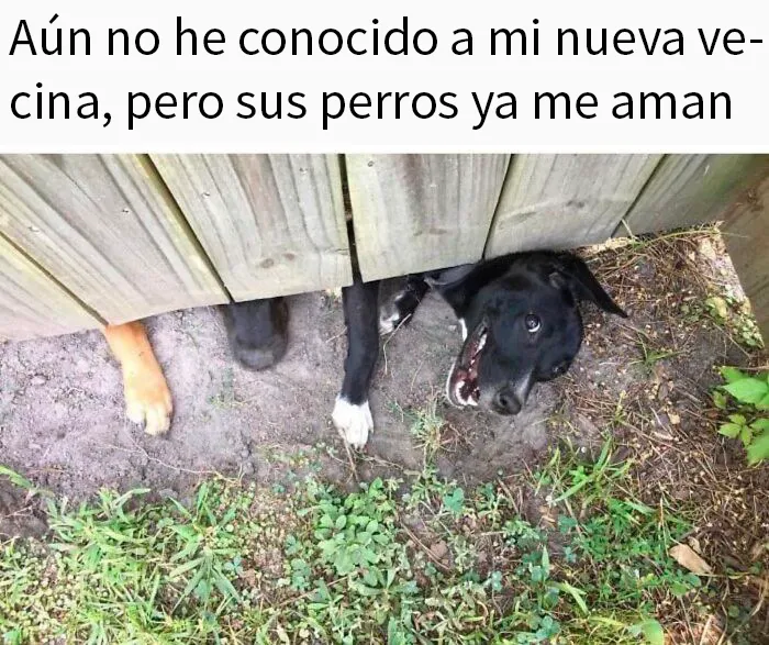 20 Divertidos memes que te resultarán dolorosamente familiares