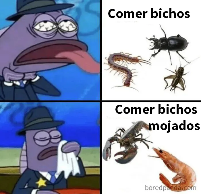 20 Memes que podrían estar "malditos"