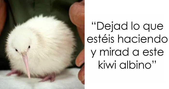26 Imágenes "bendecidas" para alegrarte el día