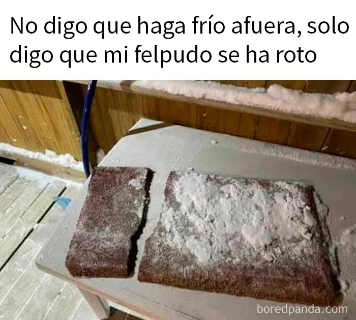 20 Divertidos y acertados memes que resumen Canadá a la perfección