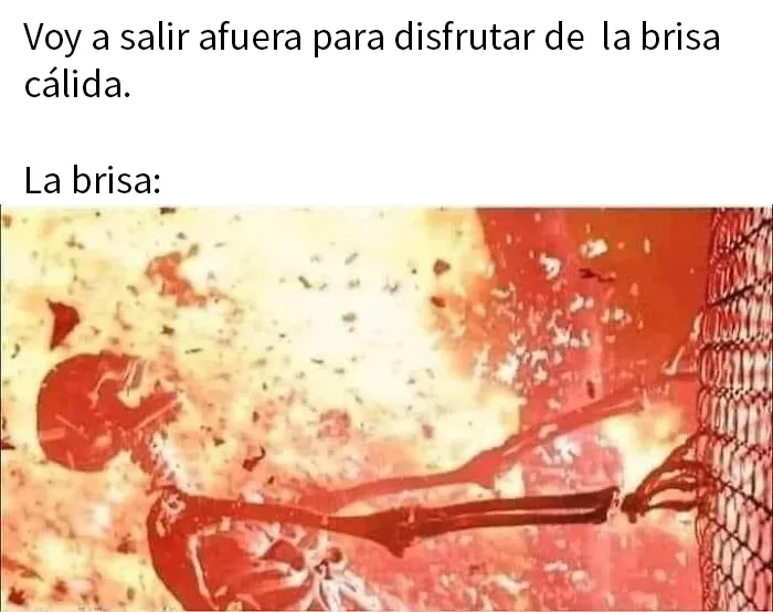 20 Divertidos y acertados memes que resumen Canadá a la perfección