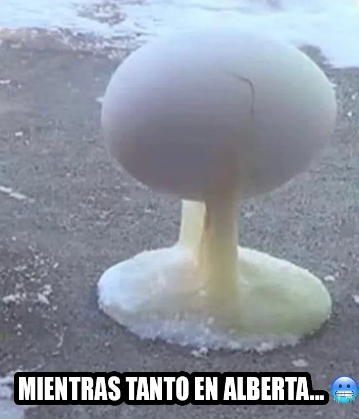 20 Divertidos y acertados memes que resumen Canadá a la perfección