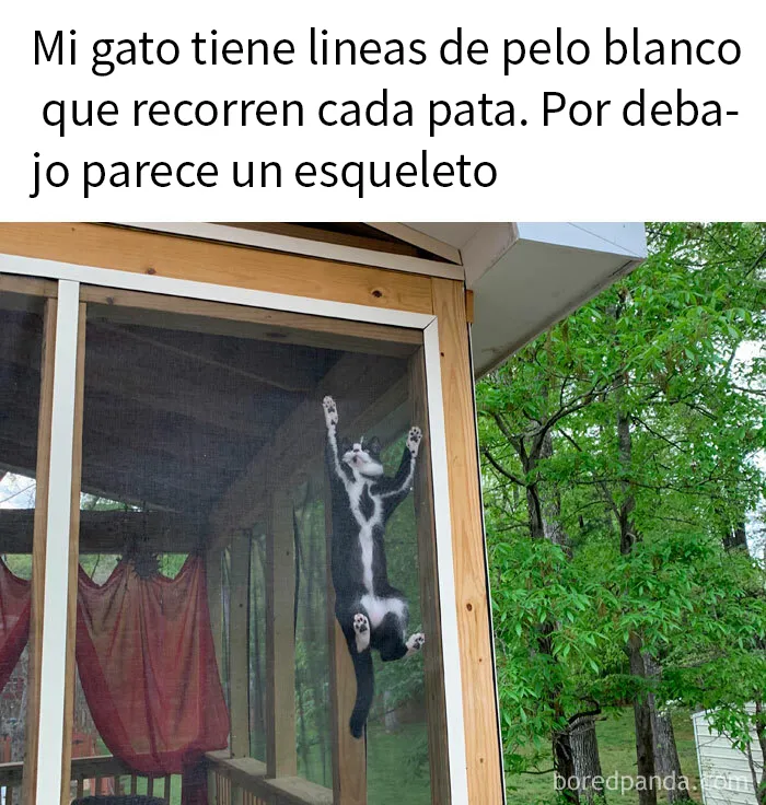 20 Memes tan espeluznantes como morbosos para amantes del terror