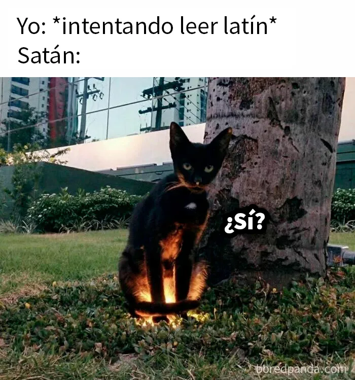 20 Memes tan espeluznantes como morbosos para amantes del terror