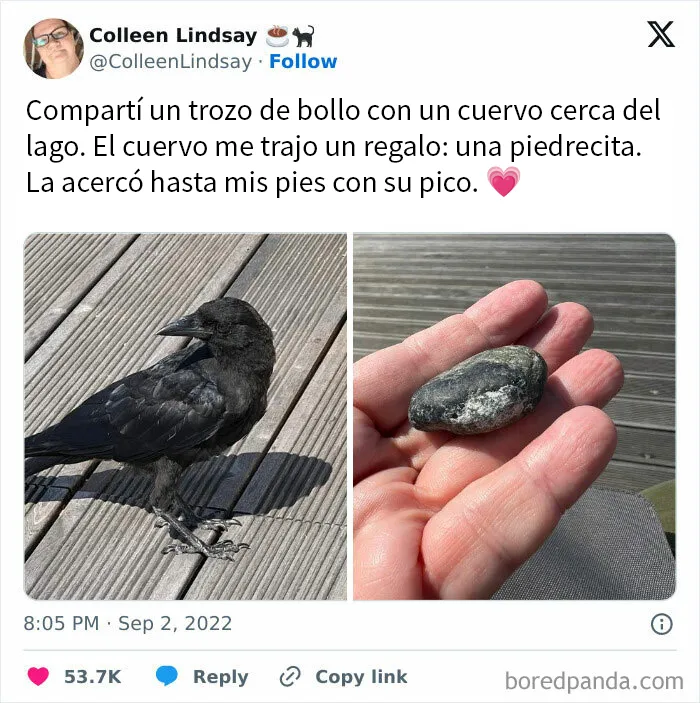 20 Memes tan espeluznantes como morbosos para amantes del terror