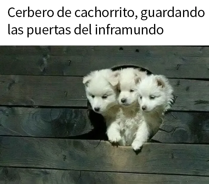 20 Publicaciones aleatorias pero divertidas compartidas en el grupo online «Delirios de suficiencia»