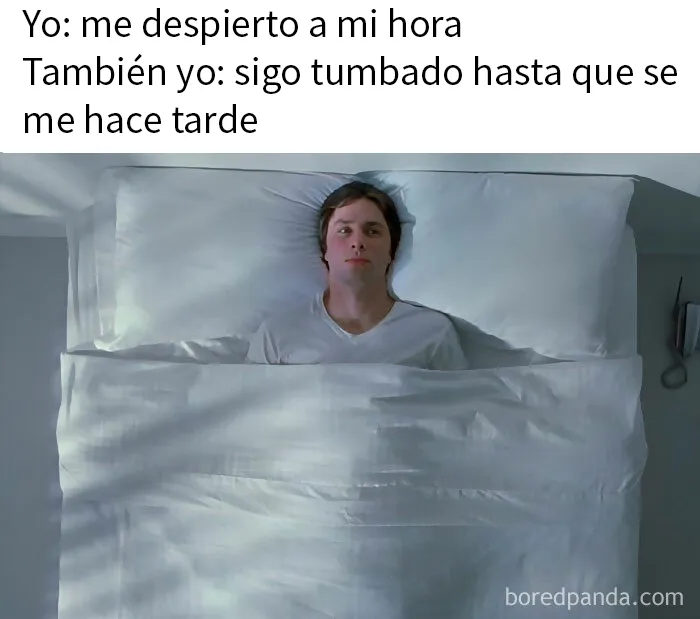 20 Divertidos memes para entretenerte un rato