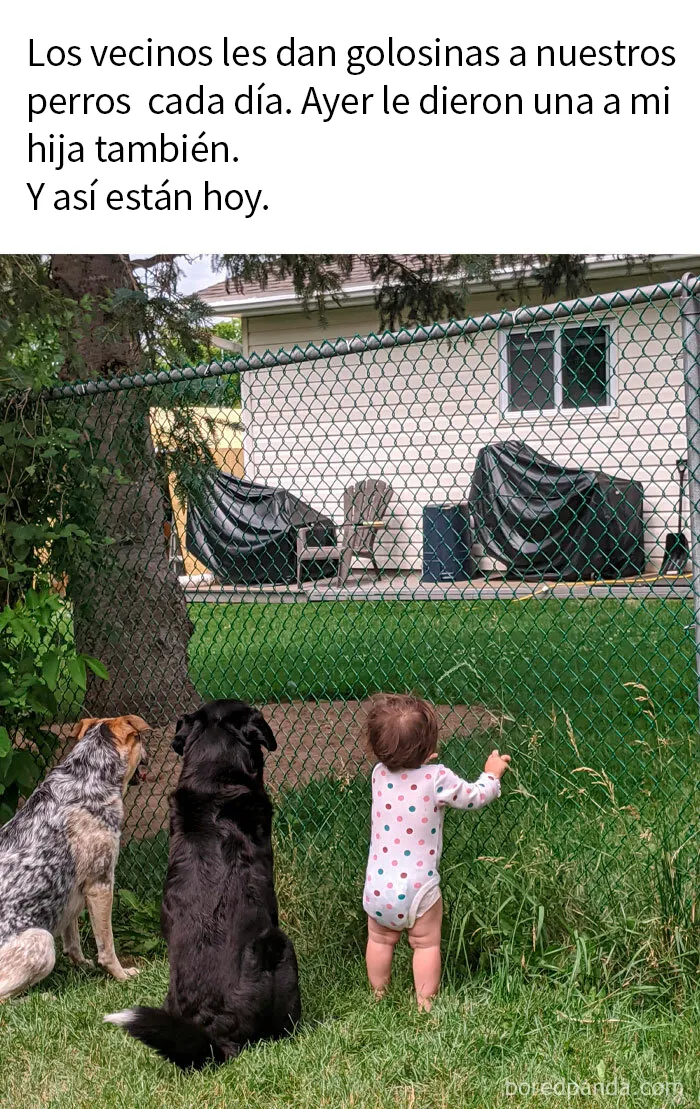 20 Memes y publicaciones reconfortantes para recordarnos que no todo es malo en el mundo