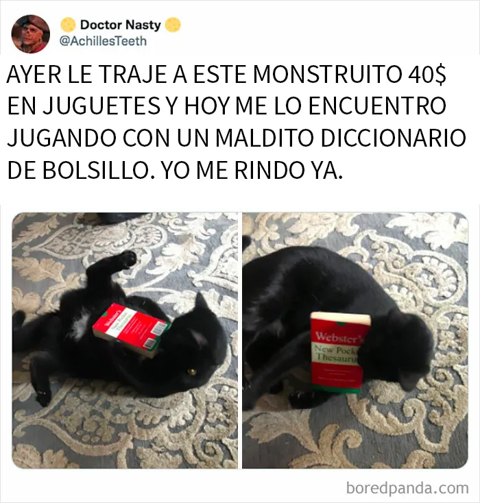 20 Memes y publicaciones reconfortantes para recordarnos que no todo es malo en el mundo