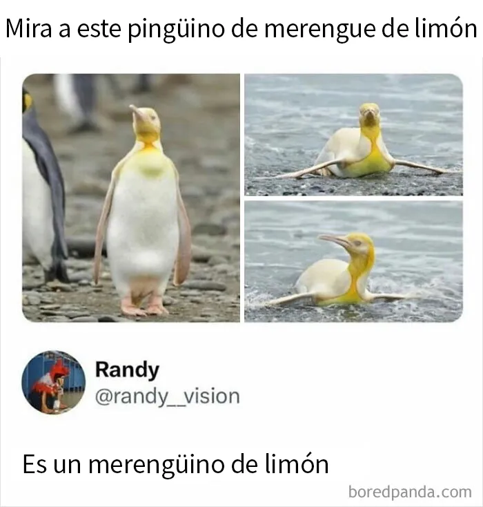 20 Memes y publicaciones reconfortantes para recordarnos que no todo es malo en el mundo