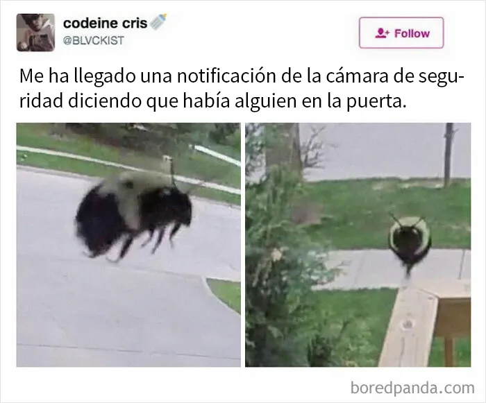 20 Memes y publicaciones reconfortantes para recordarnos que no todo es malo en el mundo