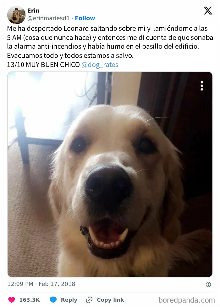 20 Memes y publicaciones reconfortantes para recordarnos que no todo es malo en el mundo