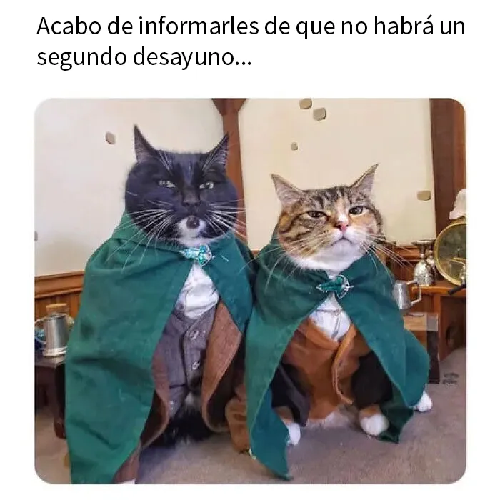 20 Memes y publicaciones reconfortantes para recordarnos que no todo es malo en el mundo