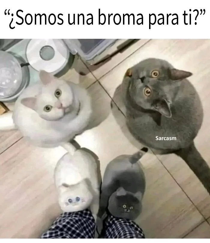 20 Memes y publicaciones reconfortantes para recordarnos que no todo es malo en el mundo