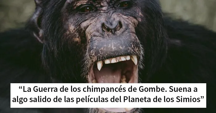 20 Eventos históricos tan ridículos que parecen mentira