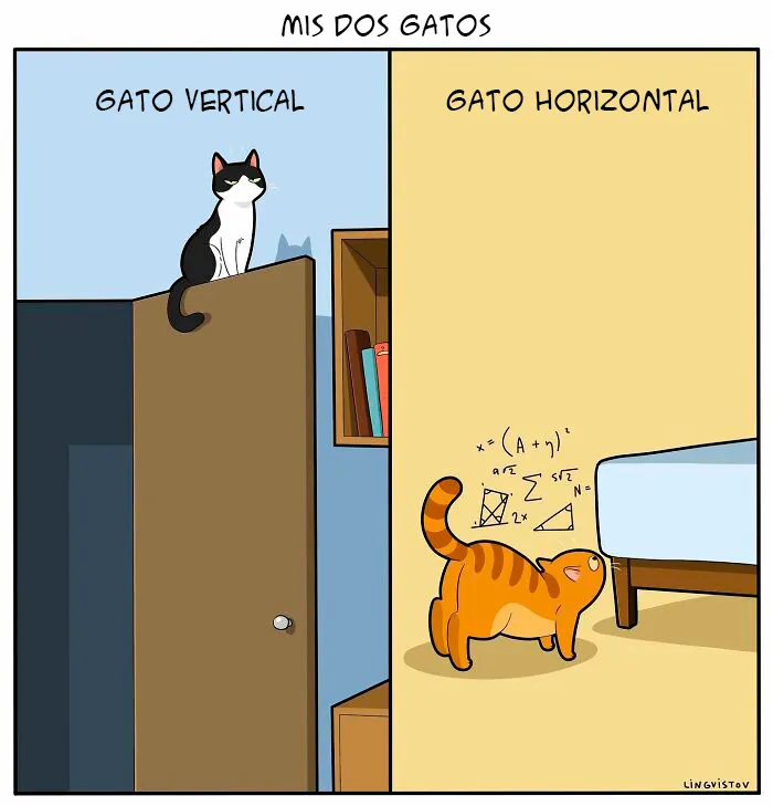 Una artista ilustra cómo es vivir con un gato (30 fotos nuevas)