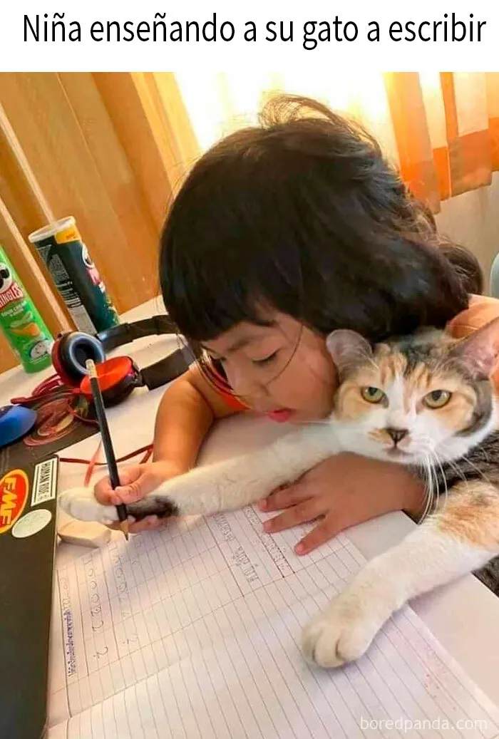 20 Ingeniosos memes sobre ciencia con los que aprendes y te ríes a la vez