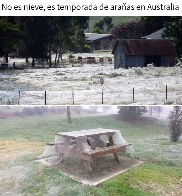 20 Ingeniosos memes sobre ciencia con los que aprendes y te ríes a la vez
