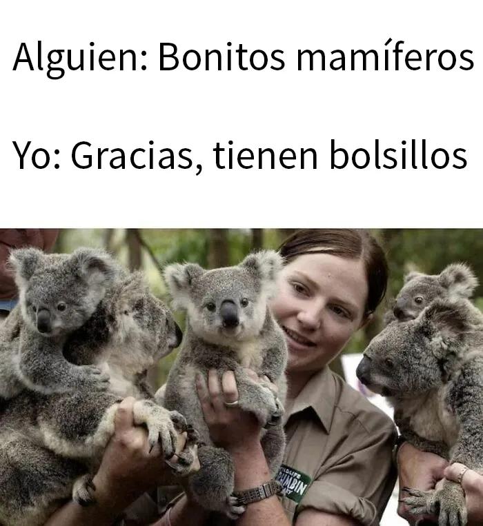 20 Ingeniosos memes sobre ciencia con los que aprendes y te ríes a la vez