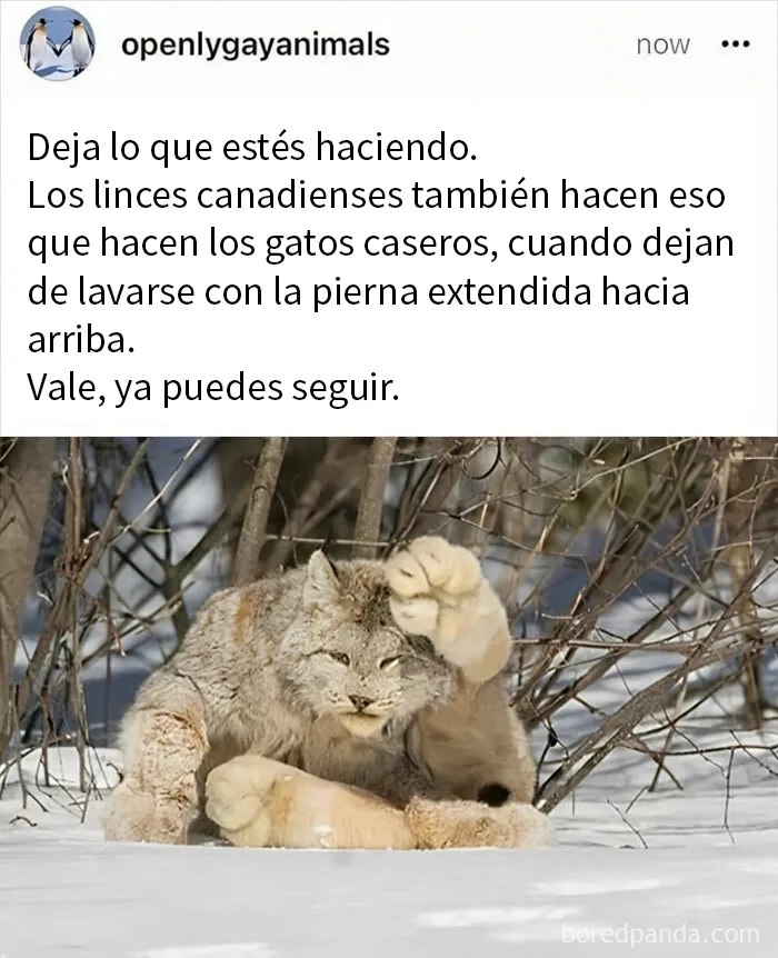 20 Ingeniosos memes sobre ciencia con los que aprendes y te ríes a la vez