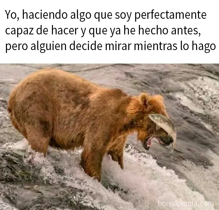 20 Ingeniosos memes sobre ciencia con los que aprendes y te ríes a la vez