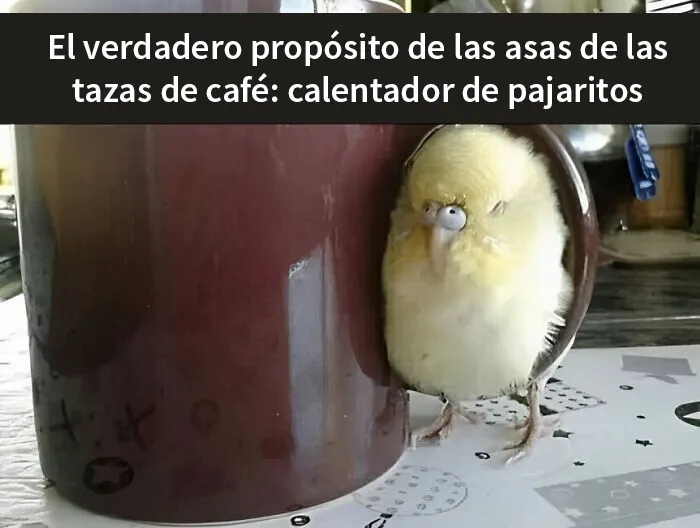 20 Ingeniosos memes sobre ciencia con los que aprendes y te ríes a la vez