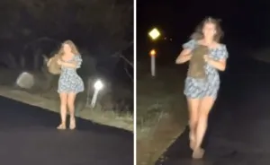 Aussies Call To Deport American Tourist After She Snatches A Baby Wombat From Its Mother