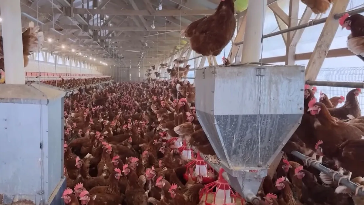 Health Experts Urge Immediate Preparedness As Bird Flu Reaches All 50 States