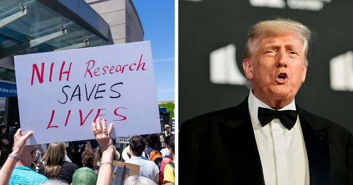 Judge Orders Reinstatement Of NIH Grants, Calling Trump's Cuts Illegal And Discriminatory