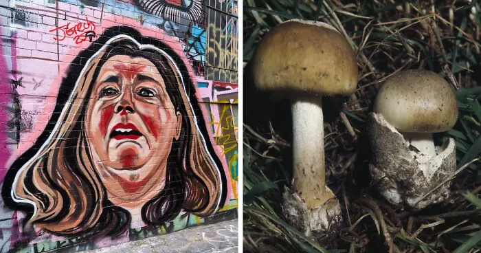 Guilty Verdict In Mushroom Poisoning Case—Jury Rules Erin Patterson Killed Relatives With Toxic Lunch