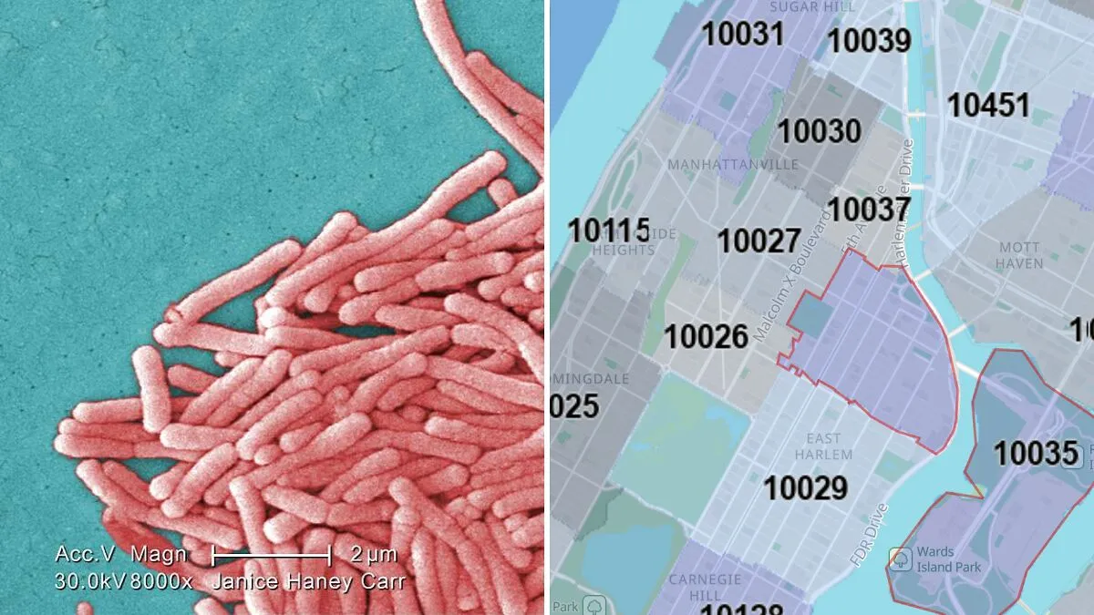 Two Dead And 58 People Sick After Legionnaires’ Disease Outbreak In New York City