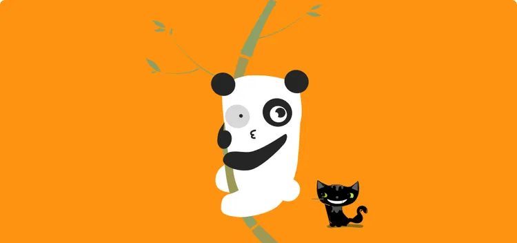 Animals Panda